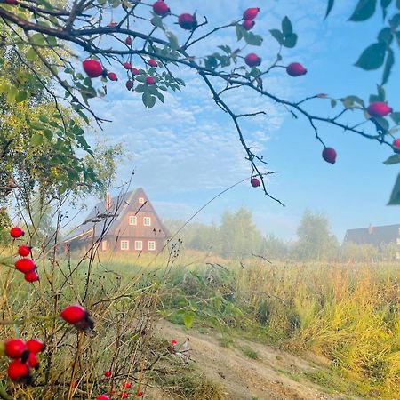 Chata Waliszow Nowy Waliszow Exterior photo